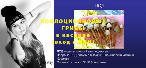 стафф Абдулино