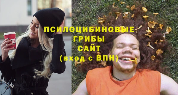первитин Абинск
