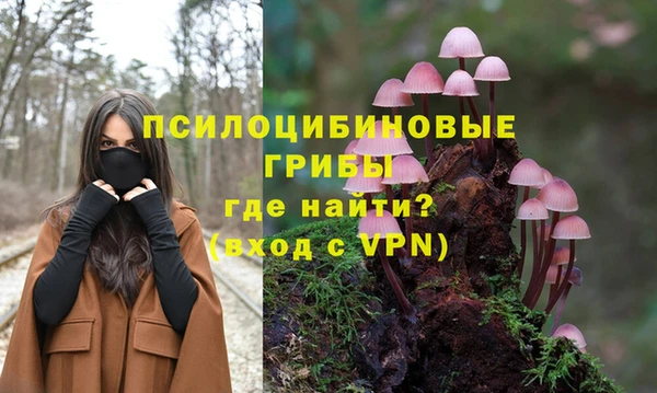 стафф Абдулино