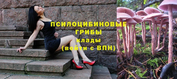 прущая мука Абаза
