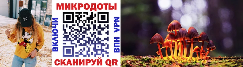где купить наркотик  Чкаловск  площадка телеграм  Галлюциногенные грибы мицелий 